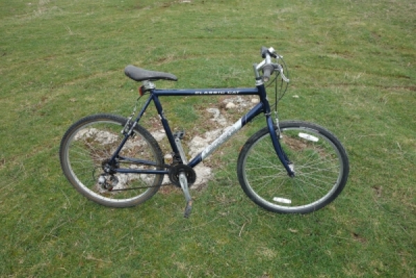 Bicycle Leopard CAT
